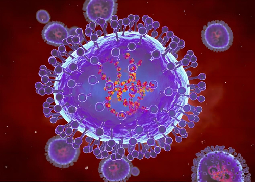 Latest company news about Các trường hợp HMPV tăng 36% vào năm 2023: Metapneumovirus ở người đang gia tăng