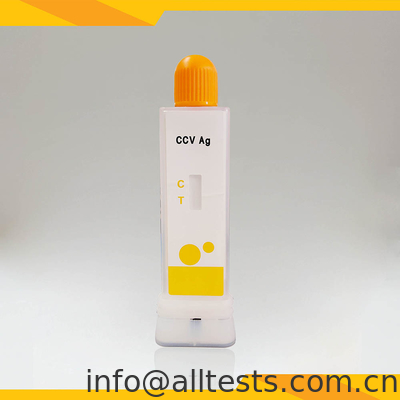 Good price Bộ thử nghiệm chẩn đoán bệnh coronavirus chó nhanh (CCV Ag) trong phân / nôn với cốc trực tuyến