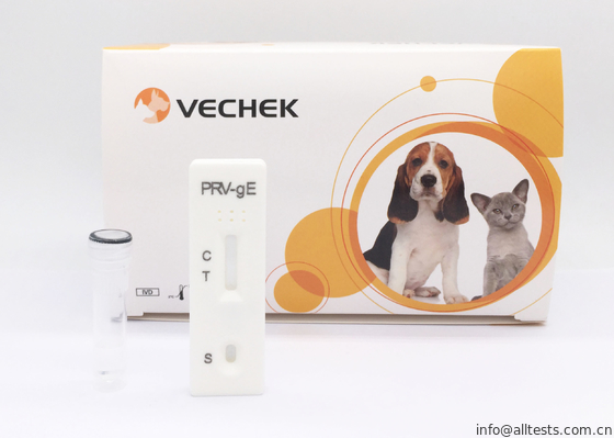 Good price Rv - Bộ dụng cụ xét nghiệm nhanh kháng thể Ge, Bộ dụng cụ nhà trắng với định tính trực tuyến