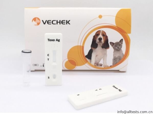 Good price Thử nghiệm một bước Canine Thử nghiệm nhanh Toxoplasma Gondii Ag Thử nghiệm Tuổi thọ dài trực tuyến